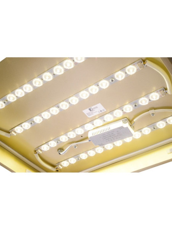 Потолочный светильник Zortes Gabby ZRS.1215.03