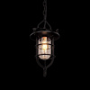 Подвесной светильник Loft IT Loft1141