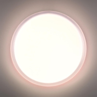 Настенно-потолочный светильник Sonex Pale Jolly 7776/ELN