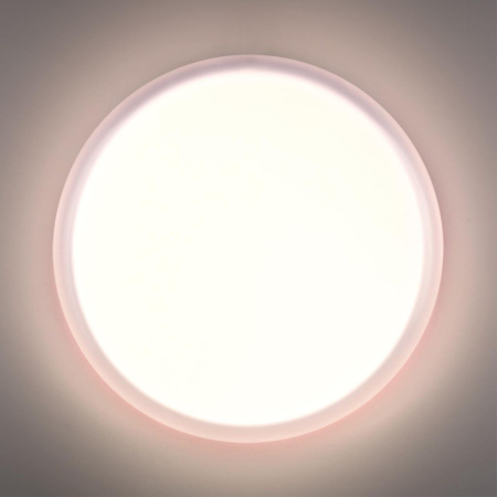 Настенно-потолочный светильник Sonex Pale Jolly 7776/ELN