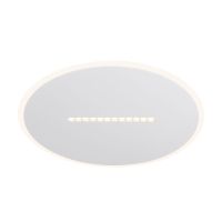 Потолочный светильник Freya Shine FR6105CL-L73W