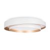 Потолочный светильник Freya Layer FR6085CL-L72WG