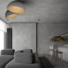 Потолочный светильник Loft IT Egg 10197/350 Grey