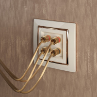 Рамка Snabb на 1 пост слоновая кость/золото WL03-Frame-01-ivory-GD Werkel