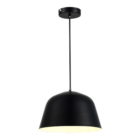 Подвесной светильник Evoluce Blank SLE1805-403-01