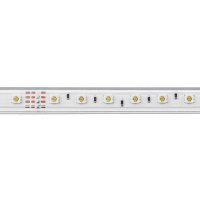 Светодиодная влагозащищенная лента Feron 11W/m 60LED/m 5050SMD RGB 50M LS706 32718