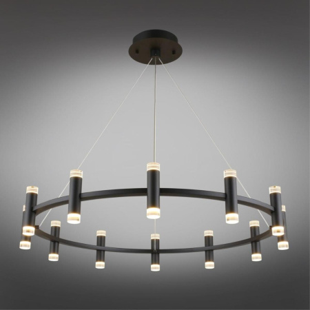 Подвесная светодиодная люстра Aployt Klarcia APL.037.03.120