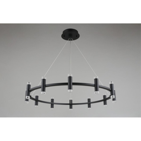 Подвесная светодиодная люстра Aployt Klarcia APL.037.03.120