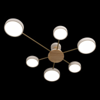 Потолочная люстра Loft IT Sunrise 10316/6 White