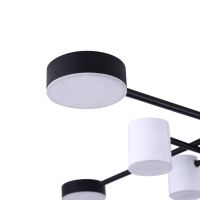 Потолочный светильник Freya Tibo FR6048CL-L8B