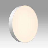 Настенно-потолочный светильник Sonex Basica Optima 7779/ELN