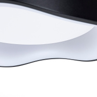 Потолочный светильник Arte Lamp Ankaa A3085PL-48BK
