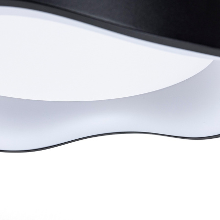 Потолочный светильник Arte Lamp Ankaa A3085PL-48BK