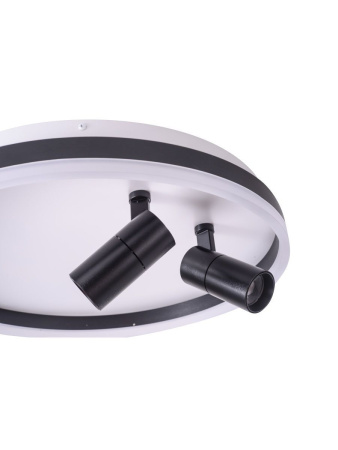 Потолочный светильник Zortes Raizy ZRS.1888.01