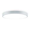 Потолочный светильник Freya Sprida FR6129CL-L80GR