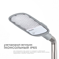 Уличный консольный светильник Apeyron 29-05