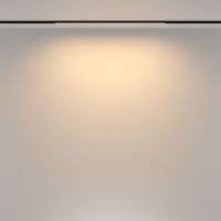 Трековый магнитный светильник Maytoni Basis TR173-1-16WTW-B