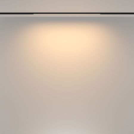 Трековый магнитный светильник Maytoni Basis TR173-1-16WTW-B
