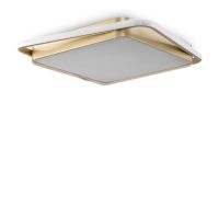 Потолочная люстра Freya Yaku FR10026CL-L93G