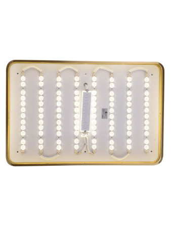 Потолочный светильник Zortes Monna ZRS.1209.09