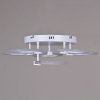 Потолочная люстра Reluce 09501-0.3-5+1 WH