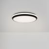 Потолочный светильник Freya Pie FR6086CL-L117B