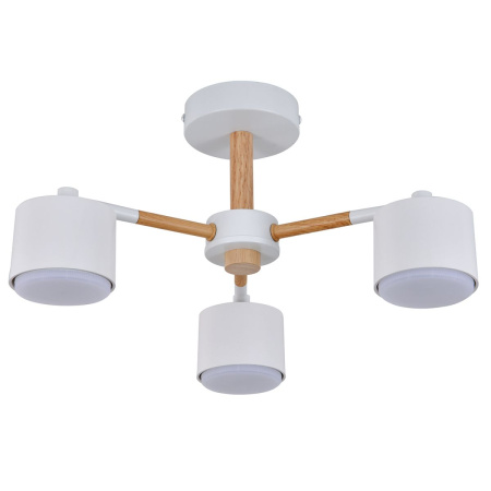 Потолочный светильник Escada Lyse ES0000022L