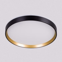 Потолочный светильник Citilux Etalon CL750321R