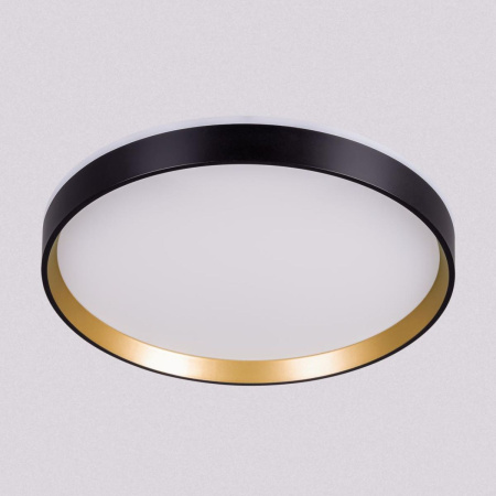 Потолочный светильник Citilux Etalon CL750321R