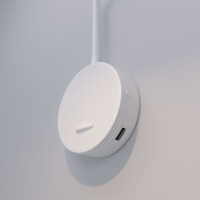 Настенный светильник Elektrostandard Stem a060541
