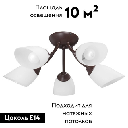 Потолочная люстра Vitaluce V3404/5PL