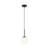 Подвесной светильник Maytoni Basic form MOD321PL-01B