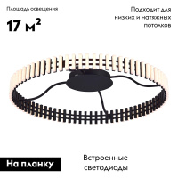 Потолочная люстра ST Luce Estense SL6203.402.50