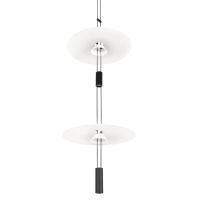 Подвесной светильник Loft IT Flamingo 10598A