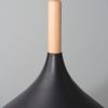 Подвесной светильник Arte Lamp Kayla A7101SP-1BK