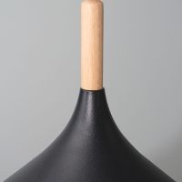Подвесной светильник Arte Lamp Kayla A7101SP-1BK