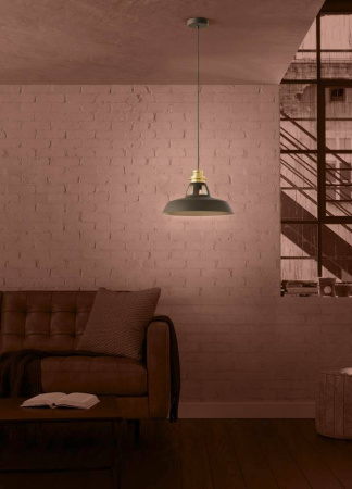 Подвесной светильник Eglo Espinardo 390229