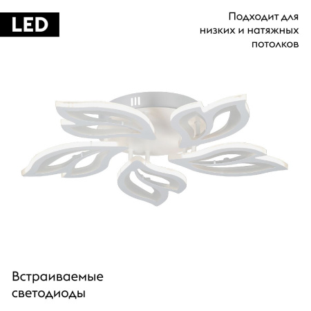 Потолочная люстра Vitaluce V3893-0/5PL