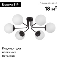 Потолочная люстра Vitaluce V4995-1/6PL