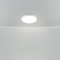 Потолочный светильник Freya Sprida FR6129CL-L80GR