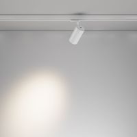 Трековый трехфазный светильник Maytoni Focus Led TR197-3-12WCCT-M-W