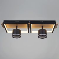 Потолочный светильник Reluce 19560-0.3-2+2 BK+WOOD