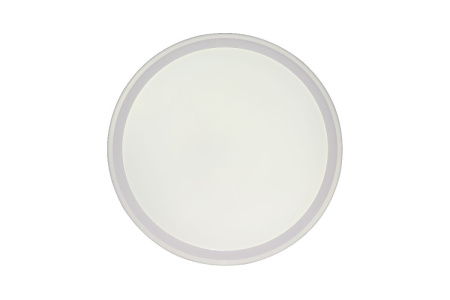 Потолочный светильник Zortes Bella ZRS.1200.09