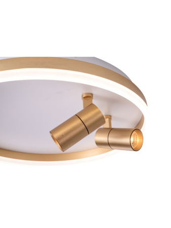 Потолочный светильник Zortes Raizy ZRS.1888.02