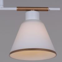 Потолочная люстра Reluce 07594-0.3-03 WG