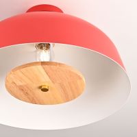 Потолочный светильник ImperiumLoft Globemi 307159-26