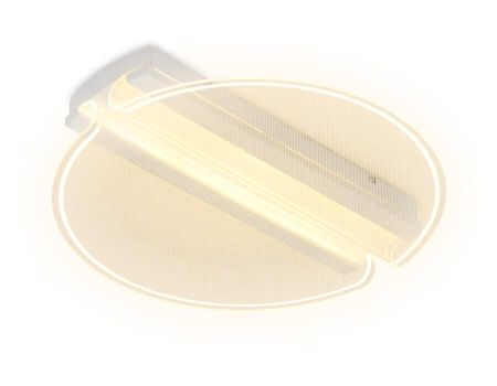 Потолочный светодиодный светильник Ambrella Light Acrylica Original FA607