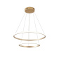 Подвесная люстра Zortes Ringolight ZRS.33320.63C