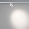 Трековый однофазный двухжильный светильник Novotech Port Selene 359910