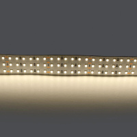 Светодиодная лента Lightstar 44W/m 360LED/m дневной белый 5M 423004